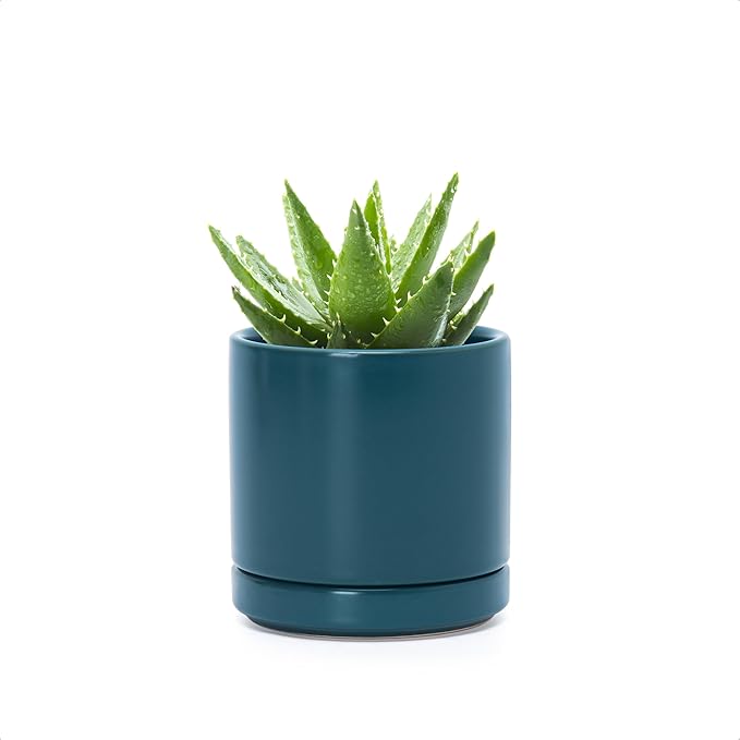 D'vine Dev 3.5 Inch Ceramic Planter Pot with Drainage Hole and Saucer, Indoor Cylinder Round Planter Pot, Teal, 94-O-A-9