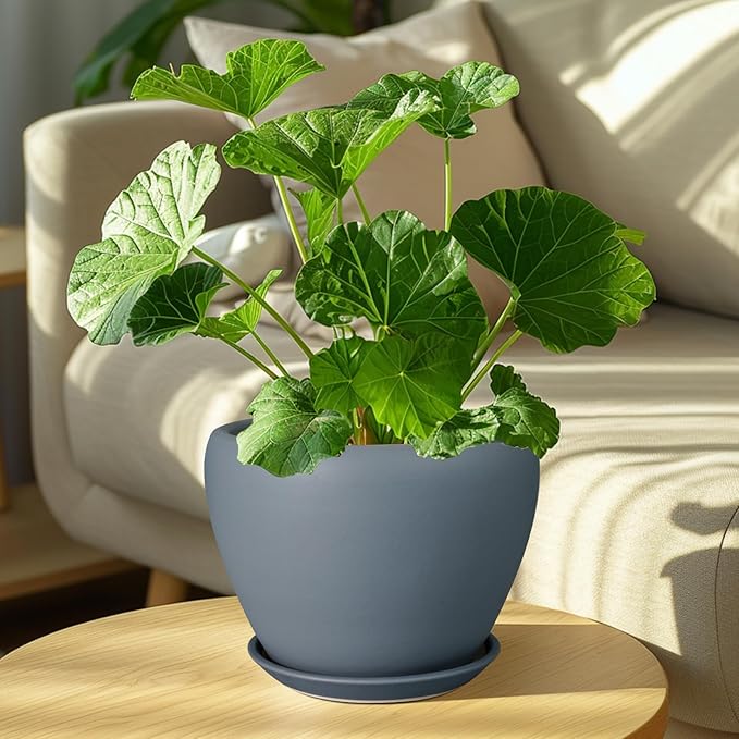 Ceramic Pot for Plants - 8 Inch Plant Pot Indoor with Drainage Hole and Saucer Decorative Planter for Outdoor Plants Modern Flower Pot for Home Decor Garden Gray