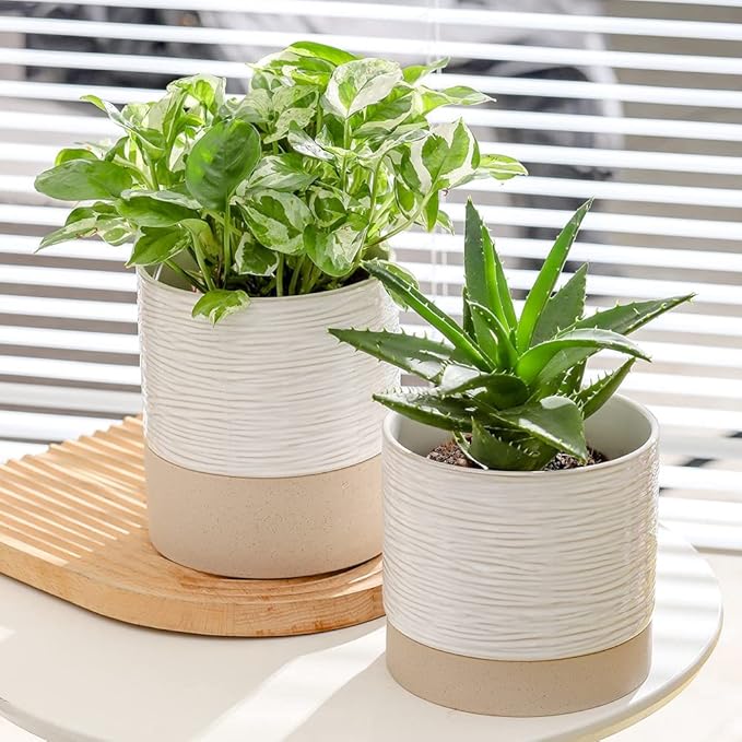 Nihow Ceramic Plant Pot: 6 Inch Planter with Drainage Hole & Saucer for Indoor & Outdoor Plants - Cylinder Round Flower Pot for Succulent/Herbs/Violets - Cream White & Brown