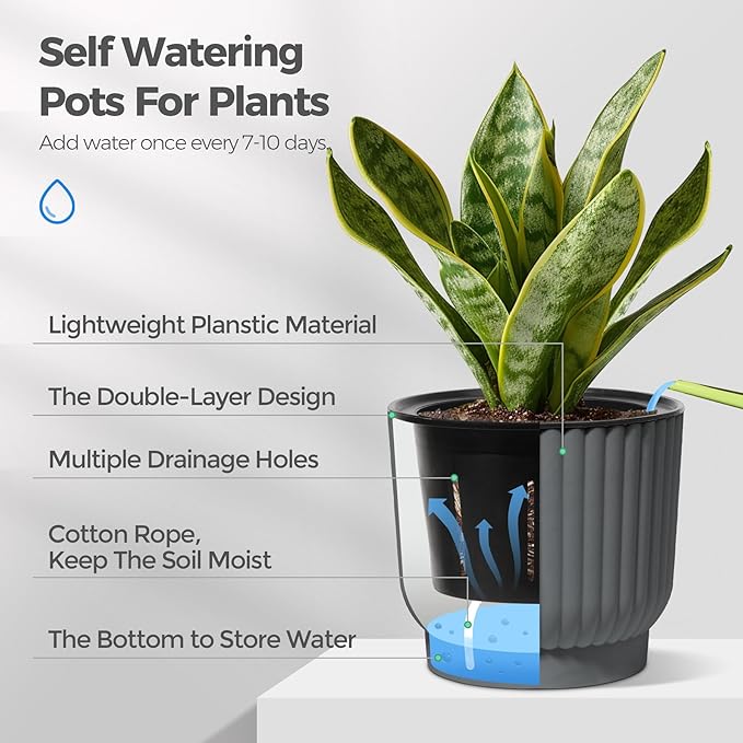 T4U African Violet Pots, 4 Inch Self Watering Pots for Indoor Plants, 6 Pack Small Planters, Durable Charcoal Gray Plastic Small Pots for Indoor Plants, Flower