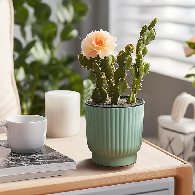 T4U African Violet Pots, 4 Inch Self Watering Pots for Indoor Plants, 6 Pack Small Planters, Durable Mint Green Plastic Small Pots for Indoor Plants, Flower