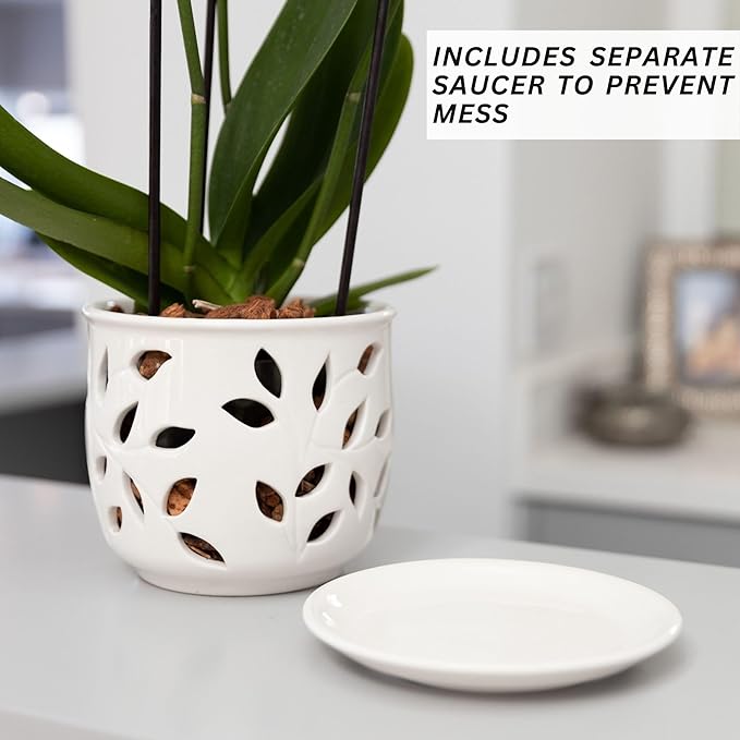Orchid Pot with Holes & Saucer Ceramic 5.25 in. Indoor or Outdoor Large Pot for Orchid Care & Root Health with Precise Aeration & Drainage – Durable for Repotting or New Plants