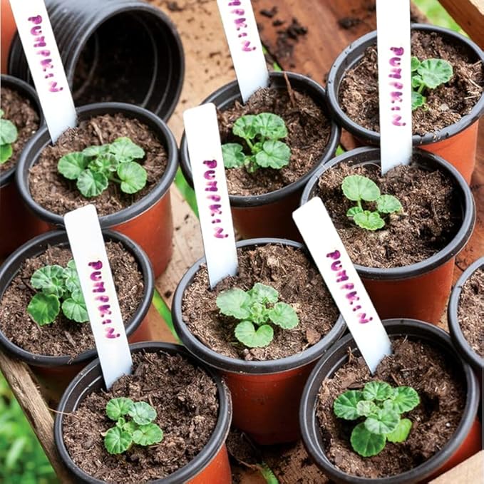 TDHDIKE 4" Small Plastic Plant Nursery Pot/Pots (100pcs Pots and 100pcs Plant Labels) Seedlings Flower Plant Container (Red) Seed Starting Pots Indoor Outdoor