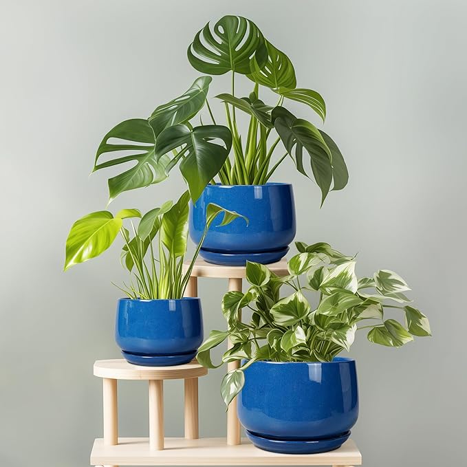 G EPGardening 6 Inch Plant Pot - Round Ceramic Planter Indoor with Drainage and Ceramic Saucer for Flower, Modern Desk Decor, Modern Garden Gift, Blue