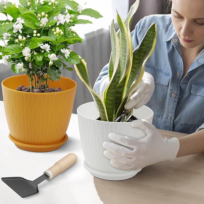 Plant Pots – 6 Inch Planters with Drainage Holes and Saucers, Flower Pots for Indoor and Outdoor Plants, Nursery Planting Pots (Pack of 5, Multicolor)