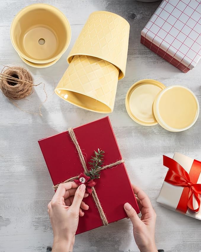 Ceramic Plant Pots –5 inch Indoor Flower Pot with Drainage Hole and Ceramic Tray - Gardening Home Desktop Office Windowsill Decoration Gift, Set of 4-Plants NOT Included(Yellow)