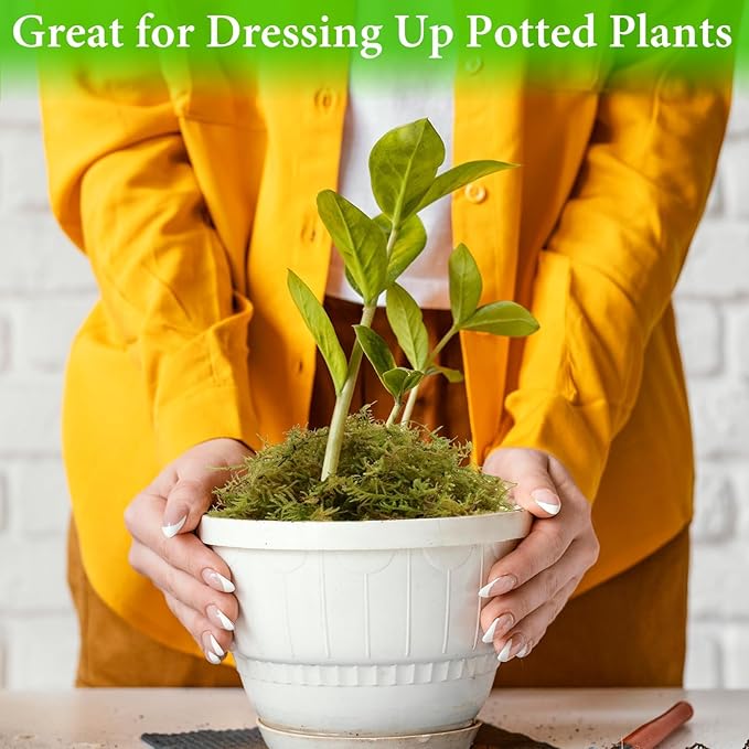 Halatool 1.1LB Green Forest Moss- 25QT Natural Sphagnum Moss for Plants Fluffy Orchid Moss for Orchids Repotting Dried Plant Moss for Potted Plants Indoor & Outdoor