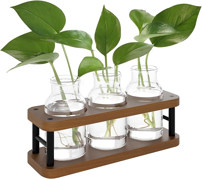 THYGIFTREE Plant Propagation Station with Wooden Stand, Propagation Vases Glass Planters for Indoor Plants Hydroponic Propagating Jars Home Office Decor, Brown