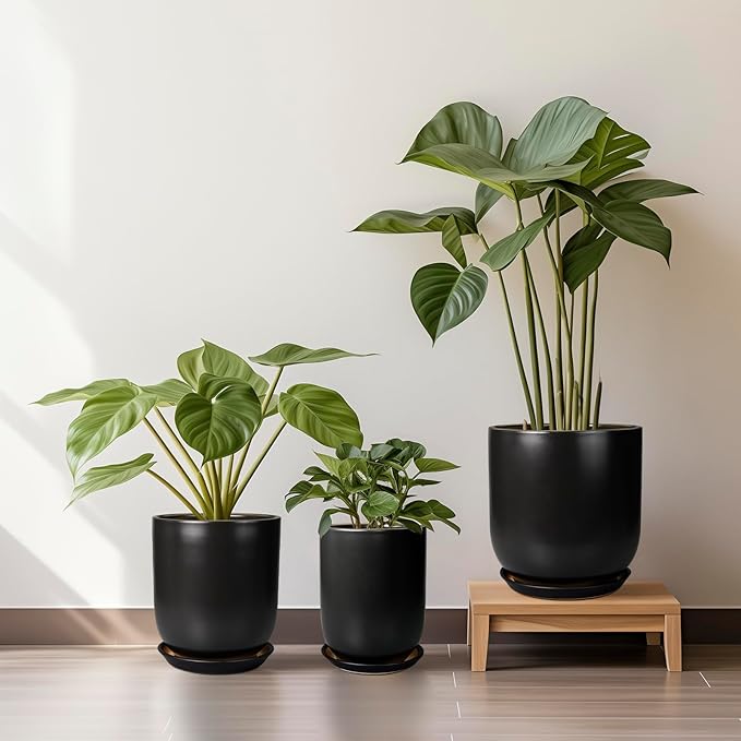 Ceramic Planter Pot - 12 Inch Large Plant Pot with Drainage Hole and Saucer Modern Flower Pot for Indoor Outdoor Plants Home Garden Decor Black