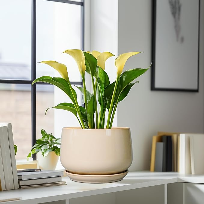 G EPGardening Ceramic Plant Pots - 9 Inch Round Planter, Ceramic Flower Pots with Drainage and Saucer, Modern Indoor Outdoor Planter, Room Decor, Home Gifts, Beige