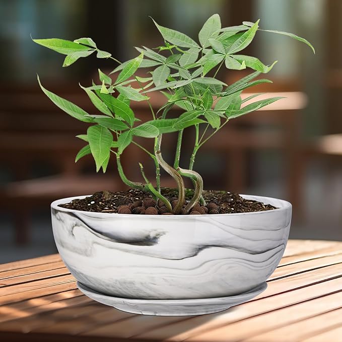 G EPGardening 10Inch Large Planter Pot Marble Pattern Ceramic Succulent Planter Big Plant Pot Succulents Container Flower Pot Indoor Outdoor Decor