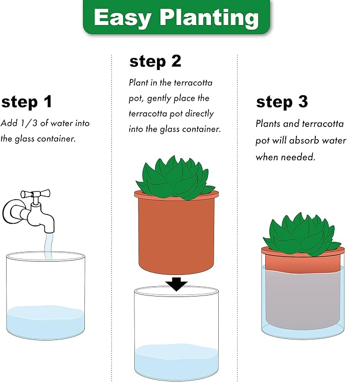 Phoenix Vine 6 Inch Self Watering Plants Pot, Design Terracotta Pot for Plants, Indoor Cylinder Terra Cotta Planter with Glass Vase, Set of 1, 51-A-F-1