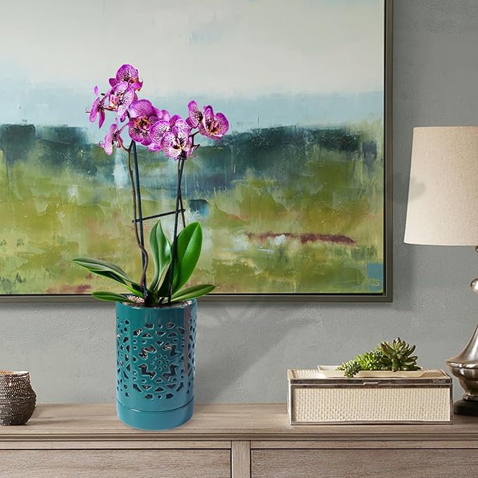 Orchid Pot 4 Inch, Orchid Pots with Holes & Saucers for Repotting, Breathable Slotted Orchid Pots Flower Plant Nursery Pot Green