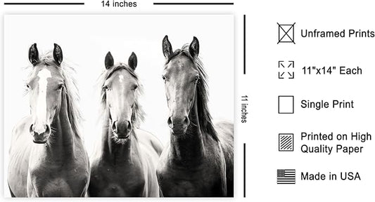 Poster Master Horse Poster - Image 2