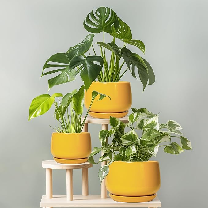 G EPGardening Ceramic Plant Pot - 6 Inch Ceramic Planter with Drainage Hole and Tray, Modern Round Planter, Flower Pot for Indoor Outdoor Plants, Plants Lovers Gifts, House Garden Decor, Yellow