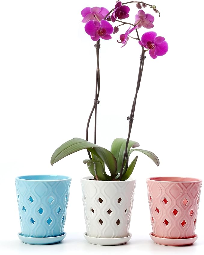 Whispering Winds Ceramic 5 x 6 Inch Orchid Pot with Holes & Saucer for Aeration and Drainage - Decorative Orchid Pots for Repotting, Prevent Over Watering & Root Rot (Carrara White)