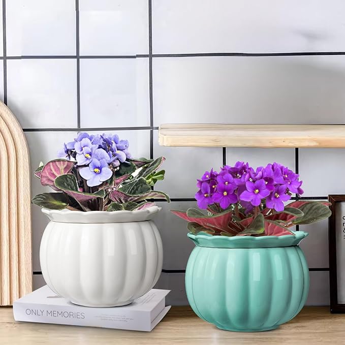 African Violet Pots, 6 inch Pumpkin-Style Ceramic Easy Self Watering Plant Pot for Busy Plant Lovers, Automatically Absorb Appropriate Amount of Water, Flower Pot Indoor-Plants Not Included