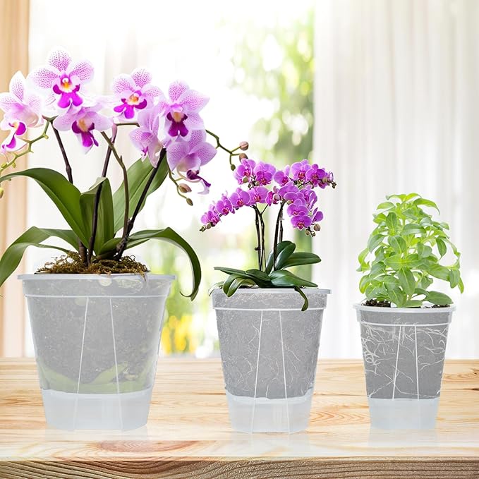 Cdd's Path 6-Pack Self Watering Pots Set with Holes for Indoor/Outdoor Plants,2 Each of 5, 6 and 7 Inch Planter Pot with Watering Hole/Reservior and Air Pipes,Clear