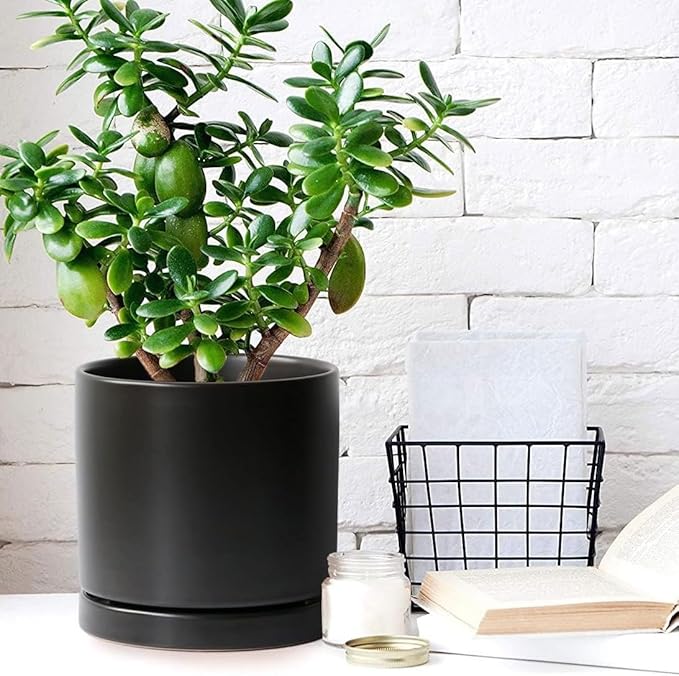 2 Pack Ceramic Plant Saucer Pot Tray 7 Inch, Planter Saucers 4 5 6 7 8 9 10 11 12 13 Inch for Indoors Outdoor, Durable Sturdy Flower Drainage drip Water Tray for Glazed Pots Base (7 Inch-Black)