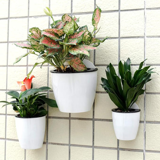 3 Pack Self Watering Wall Hanging Planter Pots Vertical Garden Window Hang - Image 2
