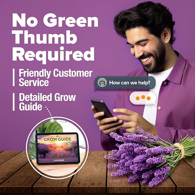 HOME GROWN π¨π¦π π£π₯ππ ππ¨π English Lavender Seeds 1,500+ π‘π’π‘-ππ π’ Wildflower Seed for Planting Indoor/Outdoor, High Germination, Plant Flower Seeds (Lavandula antustifolia)