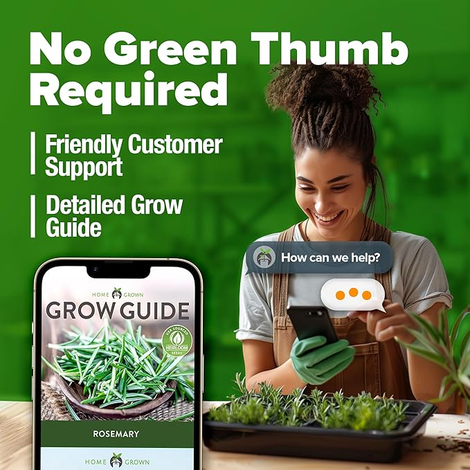 HOME GROWN Rosemary Seeds Pack - 300 High Germinating π‘π’π‘-ππ π’, π¨π¦π-π¦π’π¨π₯πππ Heirloom Herb Seeds for Planting in Indoor or Outdoor Herb Gardens (Salvia rosmarinus)