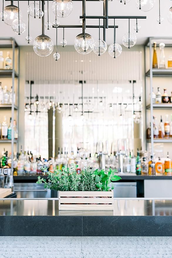 Wood Planter Box with Wine Crate Styled, 12x4 Inch Rectangular, Rose Wood, Plastic Liner, Garden Centerpiece Display, Wedding Flowers Holder, Home and Venue Decor (12x4 Wine Crate Set of 4, Rose Wood)