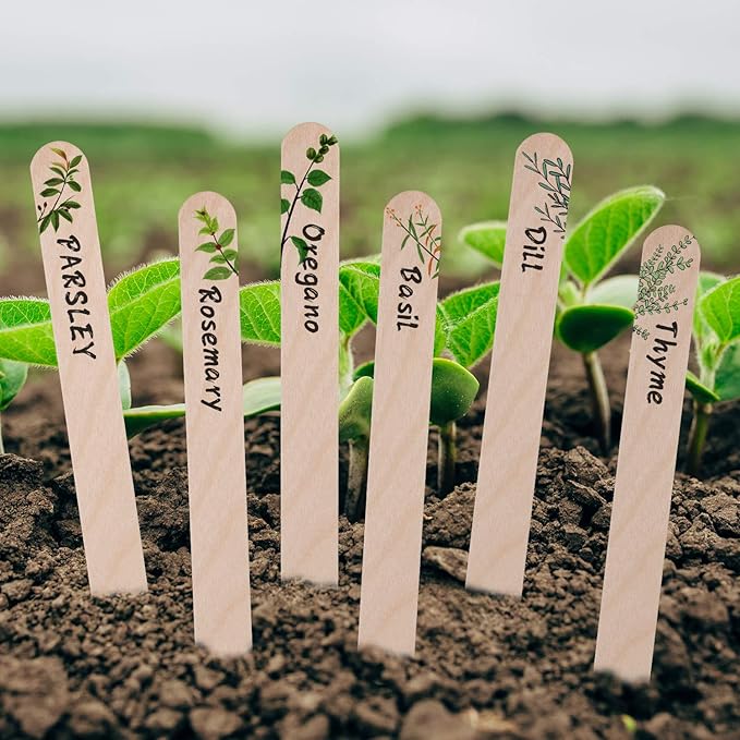 Whaline 200Pcs Wooden Plant Labels Waterproof Round Head Plant Sign Tags Birch Wood Plant Label Eco-Friendly Garden Markers for Seed Potted Herbs Flowers Vegetables with 2 Gel Pen, 15 X 1.7 CM