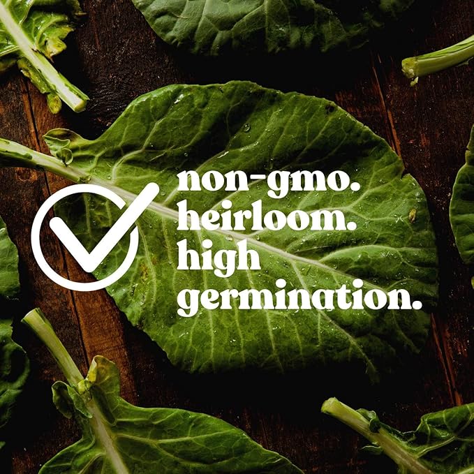 Wildflower Seeds Bulk - Meadow Wildflower Seed Mix, 5 Lbs Bulk, Annual & Perennial Wildflowers Seeds for Planting, Wild Flower & Grass Garden Mixture, Mountain Valley Seed Company