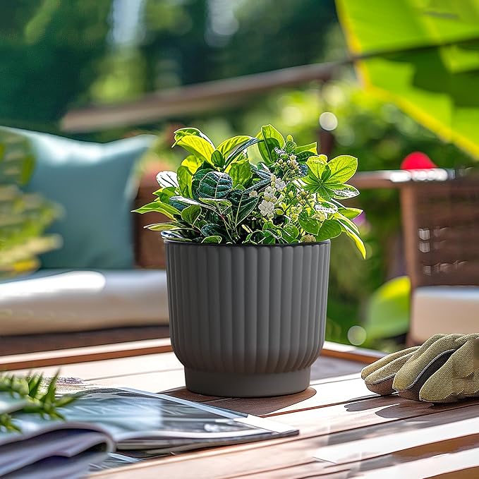 T4U 6 Inch Self Watering Pots for Indoor Plants, 6 Pack Planters for Indoor Plants, Durable Plastic Charcoal Gray Pots for Indoor Plants, African Violets, Flower