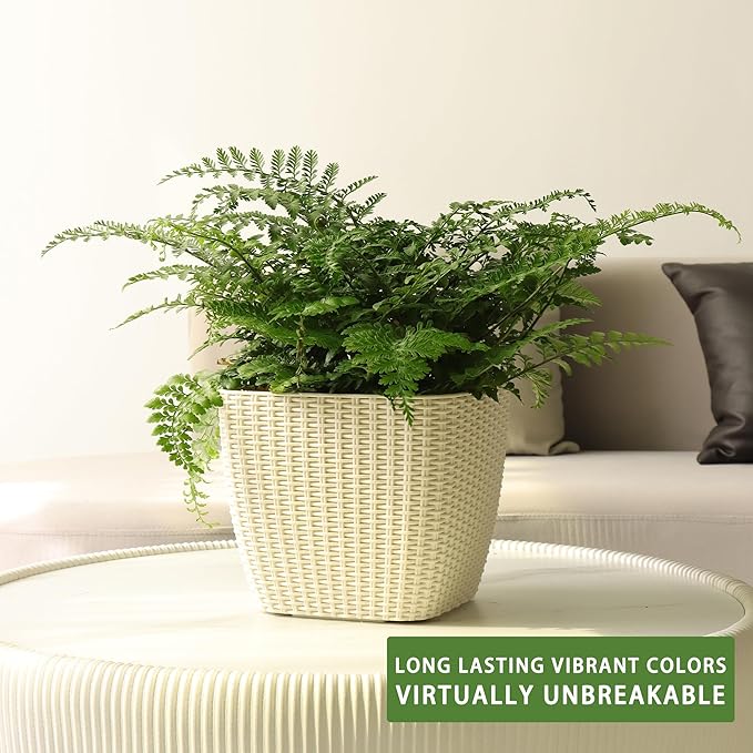 Dexceder 11x10 Self Watering Planter Indoor Outdoor, Inner Mat Design, Thickened Table Flower Plant Pot with Water Level Indicator (Ivory White Rattan)