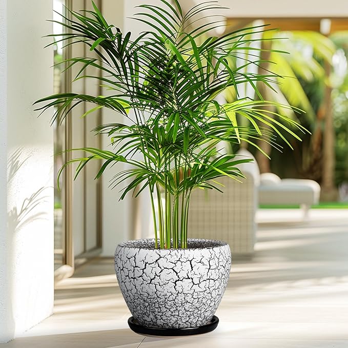 Ceramic Plant Pot 8 Inch - Ceramic Planter for Indoor Plants, Round Flower Pot with Drainage Hole and Saucer, Glaze White and Black