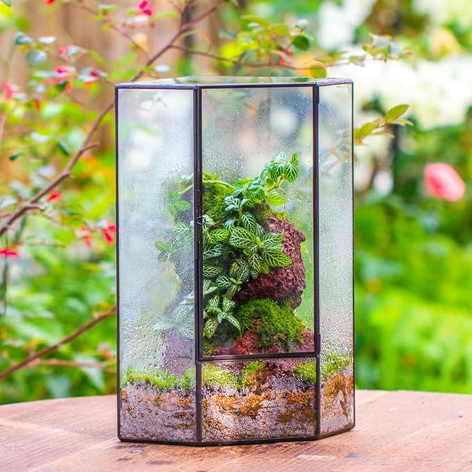 NCYP Wall Corner Geometric Glass Terrarium, Closed Front Opening Door Container Planter for Succulents, Small Plants - Black, Indoor Decor, Tabletop Landscape, 6.1" x 6.1" x 11.8" (Terrarium Only)
