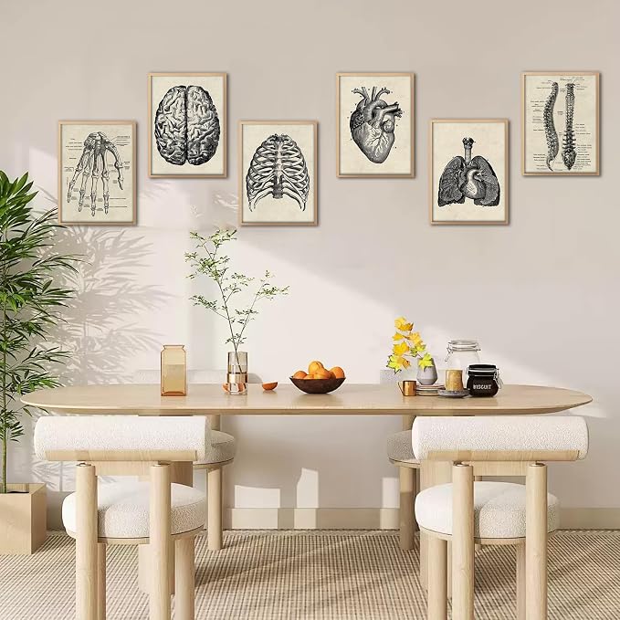 Ohhvvow Human Anatomy Artwork Medical Wall Art Canvas, 12 * 18 Inch Muscle - Image 9