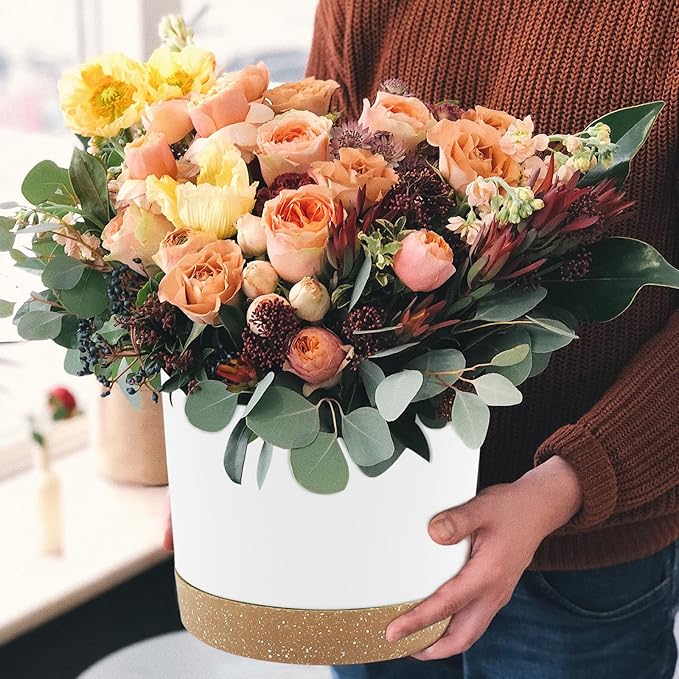 QCQHDU 10 inch Plant Pot, 2 Pack Planters for Indoor Plants with Drainage Holes & Saucer, Outdoor Flower Pots Home Garden Modern Decor