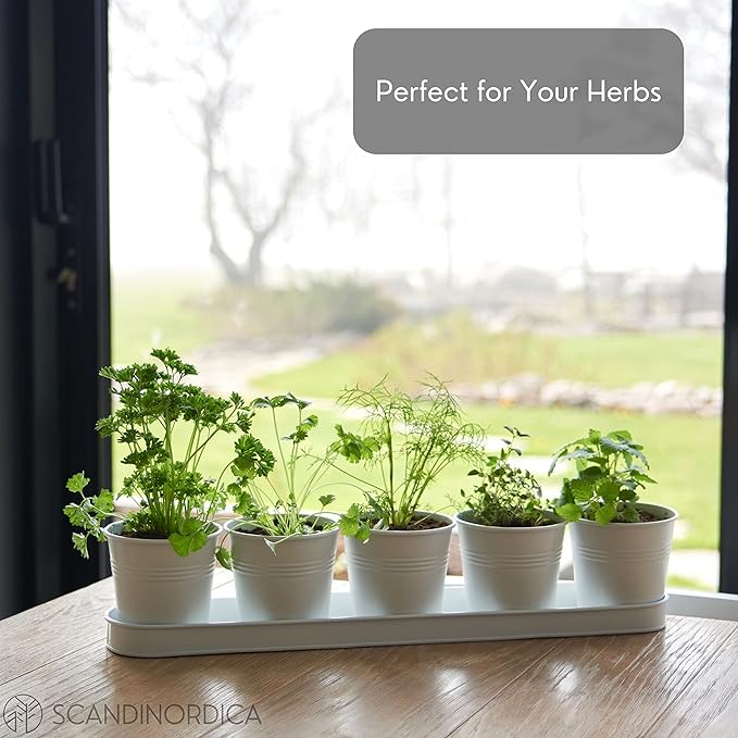 SCANDINORDICA White Herb Planter 5 Pots with Drainage Holes and Tray, Windowsill Planter, Indoor/Outdoor Herb Pots