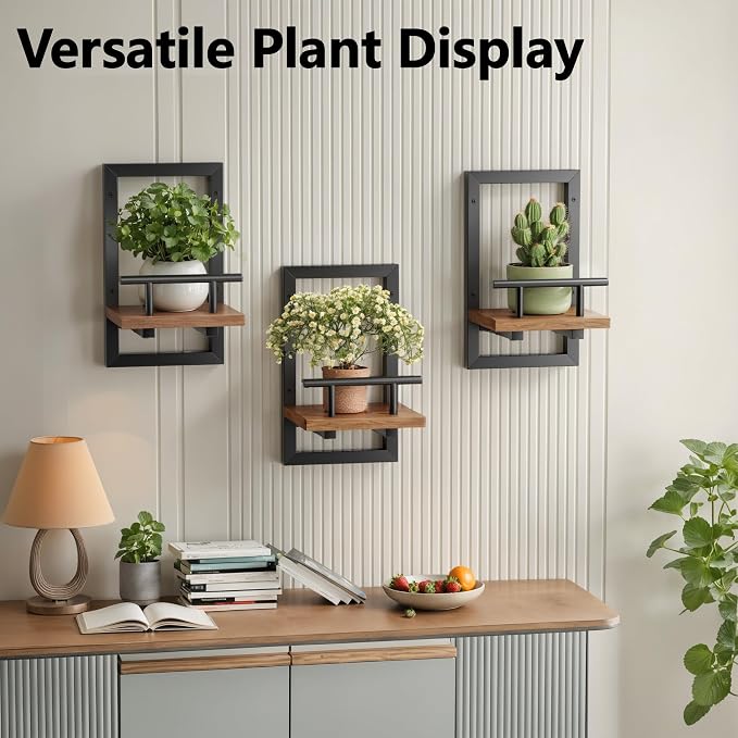 Sbosbo Floating Shelves for Wall, Plant Shelf Indoor, Wall Planters for Indoor - Image 6