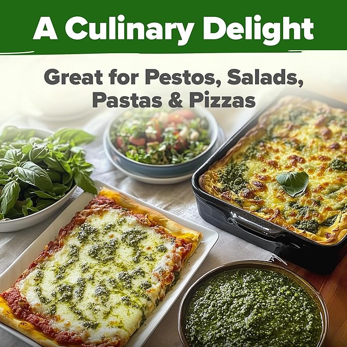 HOME GROWN π¨π¦π π£π₯ππ ππ¨π Italian Basil Seeds Bulk Pack 1,424 Sweet Large Leaf Basil Seeds for Planting π‘π’π‘-ππ π’ and Heirloom Herb Seeds for Planting Indoors or Outdoors (Ocimum basilicum)