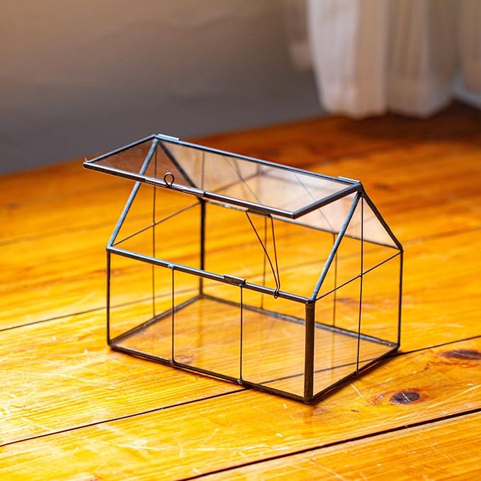 NCYP Mini Glass Terrarium with Lid - 6.1" x 4.25" x 4.92" House Shape Closed Planter Pot for Small Cactus, Succulents Plant - Home Garden Office Tabletop Geometric Decor, Black (Terrarium Only)