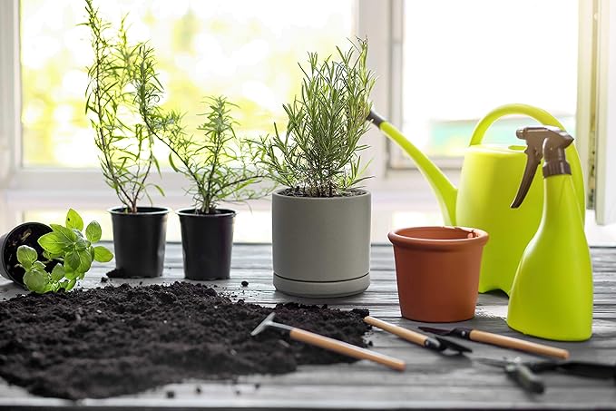 D'vine Dev Set of 2 Plants Pots, 4.6 Inch Ceramic Planter Pot for Plants with Drainage Hole and Saucer, Speckled Grey, 94-V-B-3