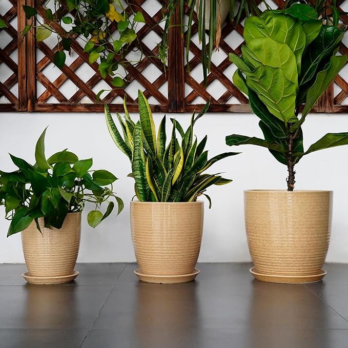 Pot for Plants 8 Inch - Ceramic Planter Indoor Plant Pot with Drainage Hole and Saucer Planter for Outdoor Plants Round Flower Pot for Home Patio Garden Office Decor Yellow