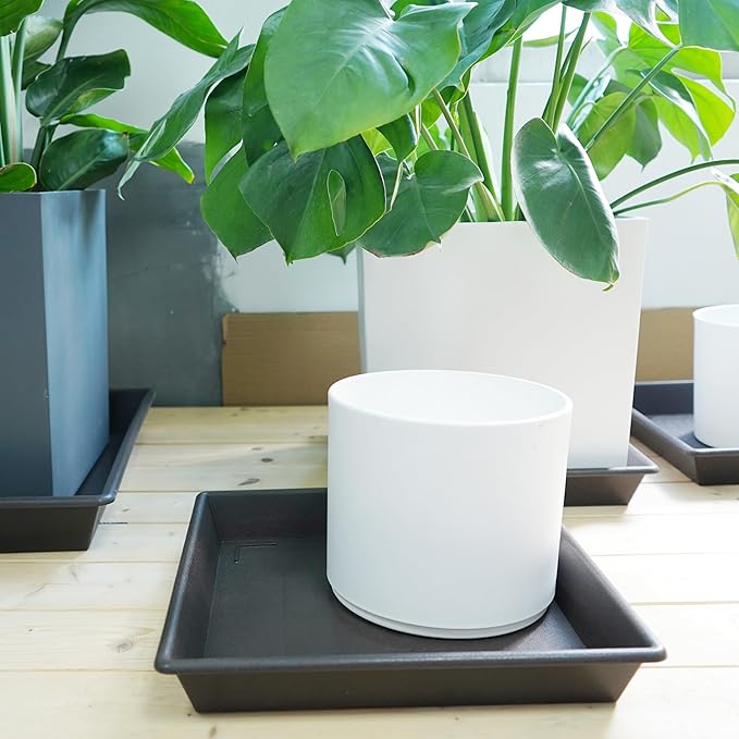 Square Plant Saucer 14 Inch 5 Pack,Plant Stand Plant Trays for Pots Heavy Duty Plastic Plant Saucers for Indoors Outdoors, Flower Pot No Holes Plant Lover Gardening Gifts
