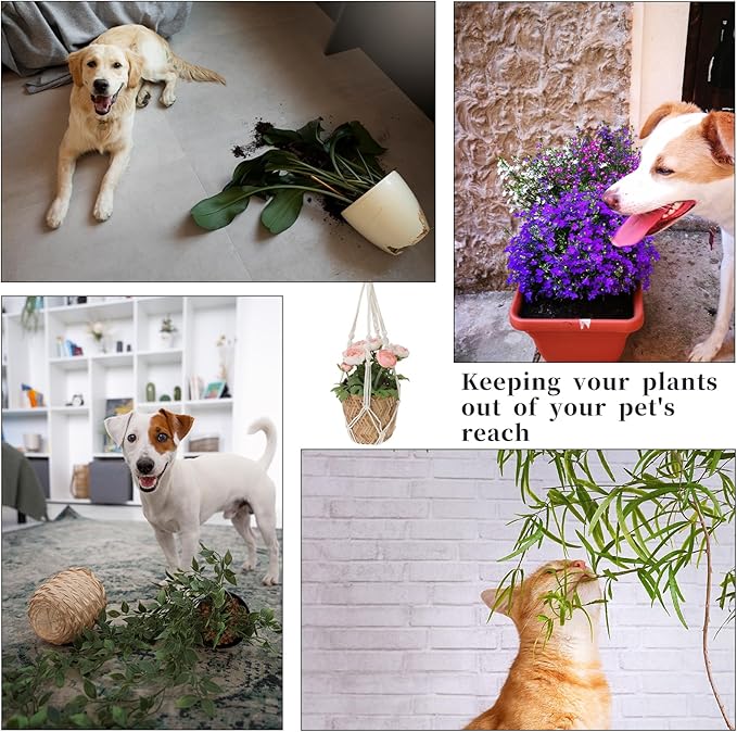 2 PCS Macrame Plant Hanger Indoor Hanging Plant Holder Hand-Woven Cotton Rope Flower Pot Basket with Metal Hook Rings Window Plant Hanger for Outdoor Hanging Pots Home Boho Decor, No Tassels, 23.6"