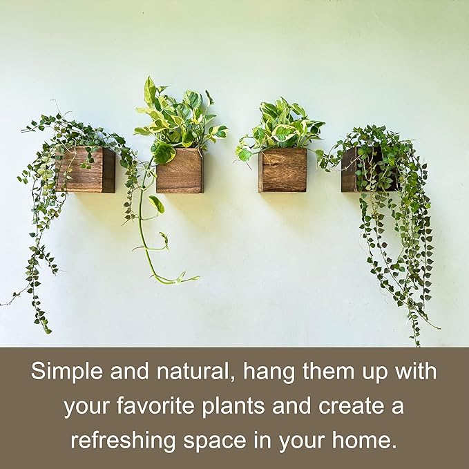 LaLaGreen Wood Planter Boxes for Indoor Plants (6 Pack, 4x4 Inch) Small Square Wall Mounted Planters Flower Pot, Herb Wooden Box Hanging Plant Holder Outdoor Balcony Vertical Garden Modern Home Decor
