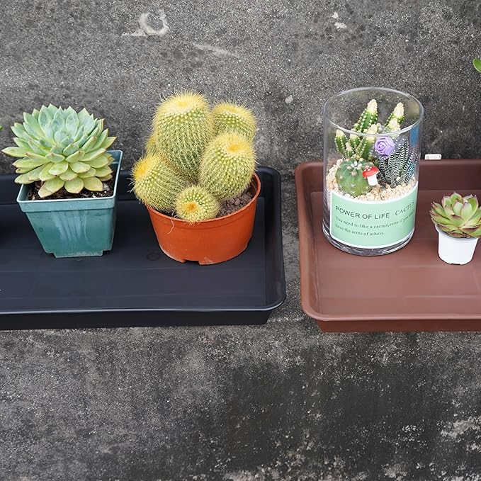 Plant Growing Trays 2 Pack, Plant Tray, 14.5"x11", Heavy Sturdy Plastic Plants Saucer, Seedling Starter Trays, Seed Starter Growing Tray (Black)