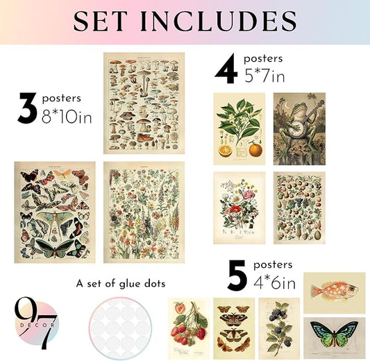97 Decor 12 Pcs Cottagecore Wall Art Set - Image 2