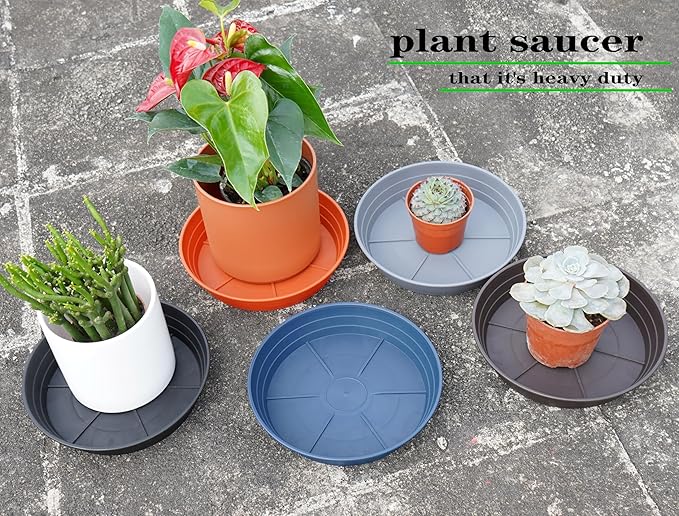 Plant Saucer 8 Inch 4 Pack 6 8 10 12 14 16 18 20 25, Plastic Plant Trays for Pots,Extra-Deep Plant Water Dray Tray, Bird Bath Bowl, Heavy Flower Plant saucers Indoors and Outdoor No Holes 8in-4 grey