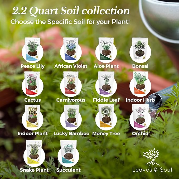 Extra Large 8.2 QT Bag Succulent Soil Premium All Purpose Blend | Pre-Mixed Ready to Use for Cactus and Succulents | Canadian Peat, Course Sand, Pinebark | Made in USA