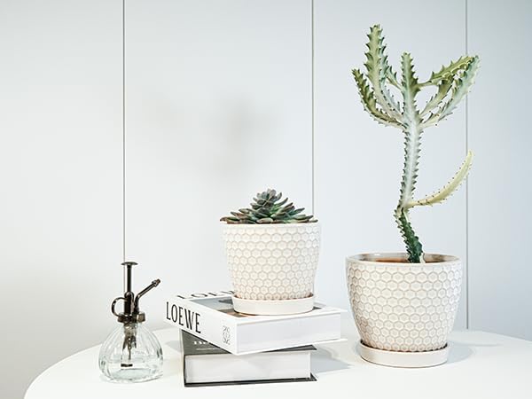 Docrin Ceramic Plant Pots Indoor: 6.6 + 5.5 Inch Planters with Drainage Holes and Saucer for Home/Office - Set of 2 /Milky White Honeycomb