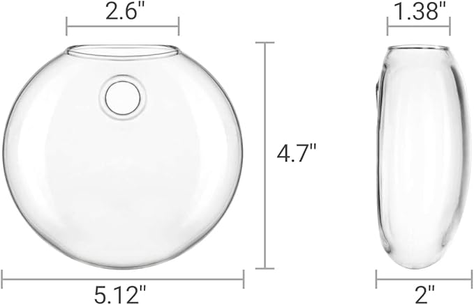 Mkono Wall Hanging Glass Terrariums Planter Oblate Flower Vase for Hydroponics Plants, Bathroom, Home Office Living Room Decor, Set of 6